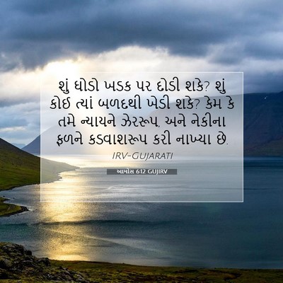 Picture 07 - આમોસ 6:12 GUJIRV - શું ઘોડો ખડક પર - Bible Verse Picture