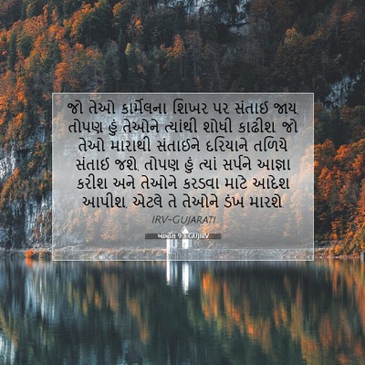 Picture 07 - આમોસ 9:3 GUJIRV - જો તેઓ કાર્મેલના - Bible Verse Picture