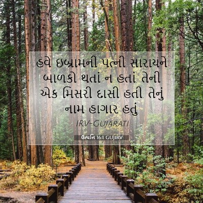 Picture 07 - ઉત્પત્તિ 16:1 GUJIRV - હવે ઇબ્રામની - Bible Verse Picture