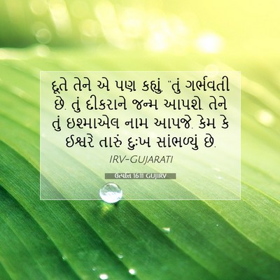 Picture 07 - ઉત્પત્તિ 16:11 GUJIRV - દૂતે તેને એ પણ - Bible Verse Picture