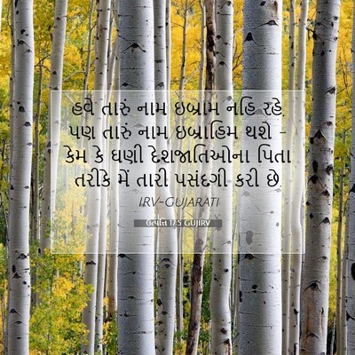 Picture 07 - ઉત્પત્તિ 17:5 GUJIRV - હવે તારું નામ - Bible Verse Picture
