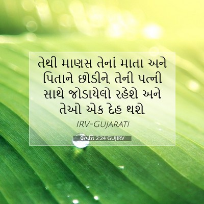 Picture 07 - ઉત્પત્તિ 2:24 GUJIRV - તેથી માણસ તેનાં - Bible Verse Picture