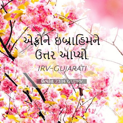 Picture 07 - ઉત્પત્તિ 23:14 GUJIRV - એફ્રોને - Bible Verse Picture