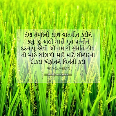 Picture 07 - ઉત્પત્તિ 23:8 GUJIRV - તેણે તેઓની સાથે - Bible Verse Picture