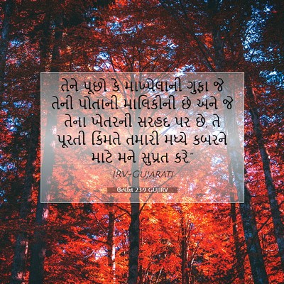 Picture 07 - ઉત્પત્તિ 23:9 GUJIRV - તેને પૂછો કે - Bible Verse Picture