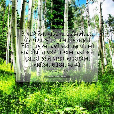 Picture 07 - ઉત્પત્તિ 24:10 GUJIRV - તે ચાકરે તેના - Bible Verse Picture