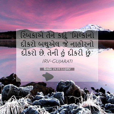 Picture 07 - ઉત્પત્તિ 24:24 GUJIRV - રિબકાએ તેને - Bible Verse Picture