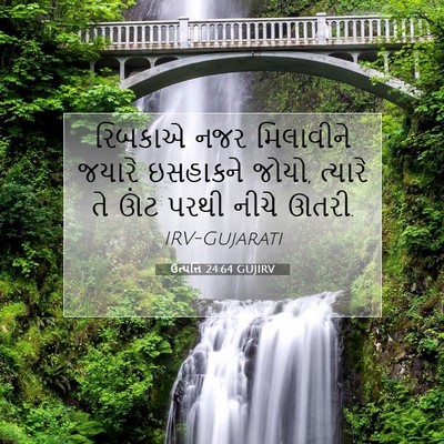 Picture 07 - ઉત્પત્તિ 24:64 GUJIRV - રિબકાએ નજર - Bible Verse Picture