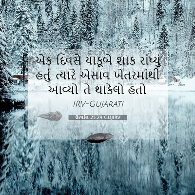 Picture 07 - ઉત્પત્તિ 25:29 GUJIRV - એક દિવસે યાકૂબે - Bible Verse Picture