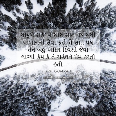 Picture 07 - ઉત્પત્તિ 29:20 GUJIRV - યાકૂબે રાહેલને - Bible Verse Picture