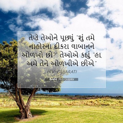 Picture 07 - ઉત્પત્તિ 29:5 GUJIRV - તેણે તેઓને - Bible Verse Picture