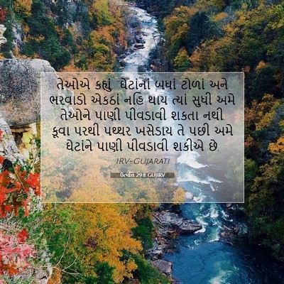 Picture 07 - ઉત્પત્તિ 29:8 GUJIRV - તેઓએ કહ્યું, - Bible Verse Picture
