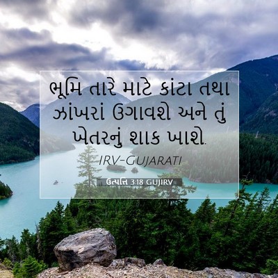 Picture 07 - ઉત્પત્તિ 3:18 GUJIRV - ભૂમિ તારે માટે - Bible Verse Picture