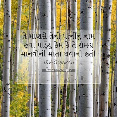 Picture 07 - ઉત્પત્તિ 3:20 GUJIRV - તે માણસે તેની - Bible Verse Picture