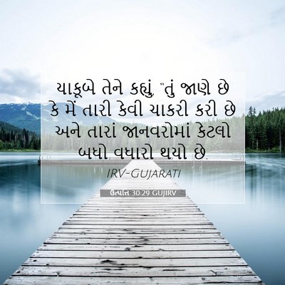 Picture 07 - ઉત્પત્તિ 30:29 GUJIRV - યાકૂબે તેને - Bible Verse Picture