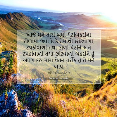 Picture 07 - ઉત્પત્તિ 30:32 GUJIRV - આજે મને તારાં બધાં - Bible Verse Picture