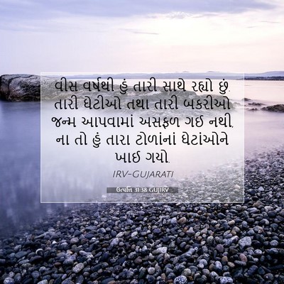 Picture 07 - ઉત્પત્તિ 31:38 GUJIRV - વીસ વર્ષથી હું - Bible Verse Picture