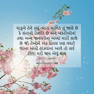 Picture 07 - ઉત્પત્તિ 33:13 GUJIRV - યાકૂબે તેને - Bible Verse Picture