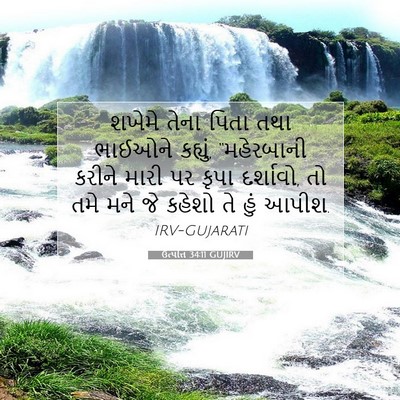 Picture 07 - ઉત્પત્તિ 34:11 GUJIRV - શખેમે તેના પિતા - Bible Verse Picture