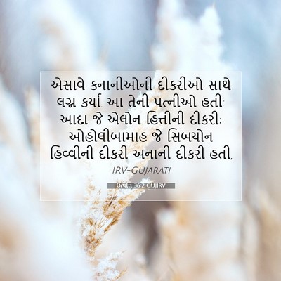 Picture 07 - ઉત્પત્તિ 36:2 GUJIRV - એસાવે કનાનીઓની - Bible Verse Picture