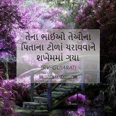 Picture 07 - ઉત્પત્તિ 37:12 GUJIRV - તેના ભાઈઓ તેઓના - Bible Verse Picture