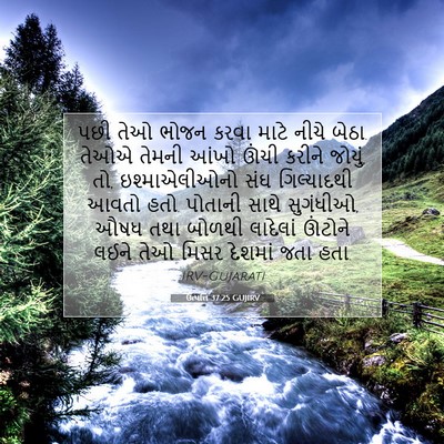 Picture 07 - ઉત્પત્તિ 37:25 GUJIRV - પછી તેઓ ભોજન કરવા - Bible Verse Picture