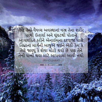 Picture 07 - ઉત્પત્તિ 38:14 GUJIRV - તેણે તેની વૈધવ્ય - Bible Verse Picture