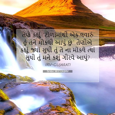 Picture 07 - ઉત્પત્તિ 38:17 GUJIRV - તેણે કહ્યું, - Bible Verse Picture