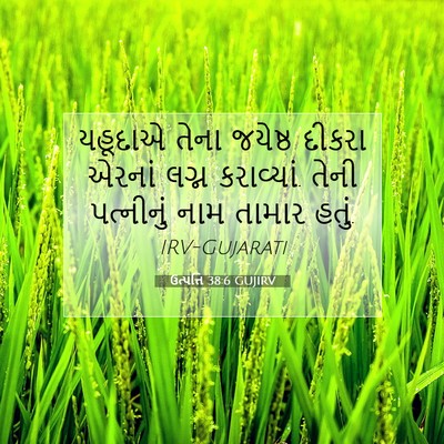 Picture 07 - ઉત્પત્તિ 38:6 GUJIRV - યહૂદાએ તેના - Bible Verse Picture