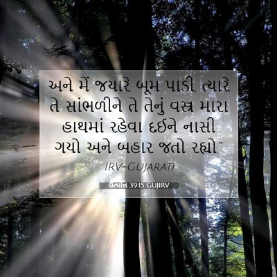 Picture 07 - ઉત્પત્તિ 39:15 GUJIRV - અને મેં જયારે બૂમ - Bible Verse Picture