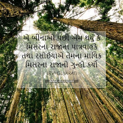 Picture 07 - ઉત્પત્તિ 40:1 GUJIRV - એ બીનાઓ પછી એમ થયું - Bible Verse Picture