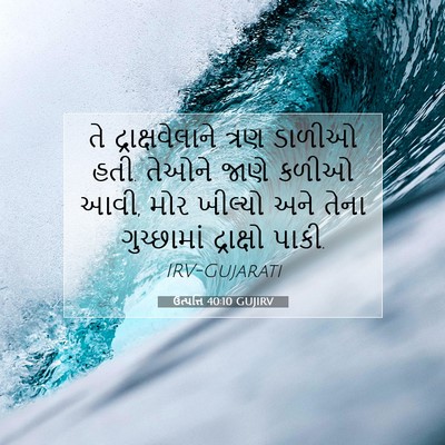 Picture 07 - ઉત્પત્તિ 40:10 GUJIRV - તે દ્રાક્ષવેલાને - Bible Verse Picture