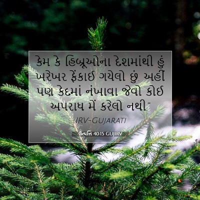 Picture 07 - ઉત્પત્તિ 40:15 GUJIRV - કેમ કે હિબ્રૂઓના - Bible Verse Picture