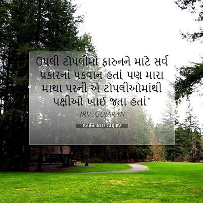 Picture 07 - ઉત્પત્તિ 40:17 GUJIRV - ઉપલી ટોપલીમાં - Bible Verse Picture