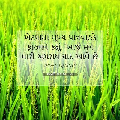 Picture 07 - ઉત્પત્તિ 41:9 GUJIRV - એટલામાં મુખ્ય - Bible Verse Picture