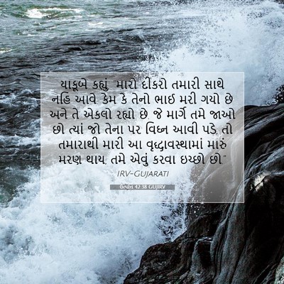 Picture 07 - ઉત્પત્તિ 42:38 GUJIRV - યાકૂબે કહ્યું, - Bible Verse Picture