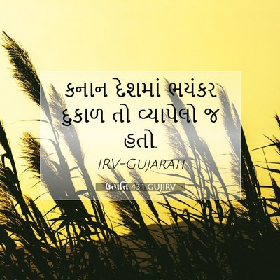 Picture 07 - ઉત્પત્તિ 43:1 GUJIRV - કનાન દેશમાં ભયંકર - Bible Verse Picture