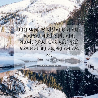 Picture 07 - ઉત્પત્તિ 44:2 GUJIRV - મારો પ્યાલો જે - Bible Verse Picture