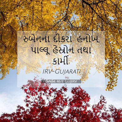 Picture 07 - ઉત્પત્તિ 46:9 GUJIRV - રુબેનના દીકરા: - Bible Verse Picture