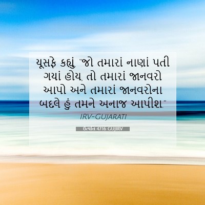 Picture 07 - ઉત્પત્તિ 47:16 GUJIRV - યૂસફે કહ્યું, “જો - Bible Verse Picture