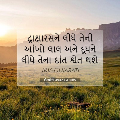 Picture 07 - ઉત્પત્તિ 49:12 GUJIRV - દ્રાક્ષારસને લીધે - Bible Verse Picture