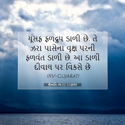 Picture 07 - ઉત્પત્તિ 49:22 GUJIRV - યૂસફ ફળદ્રુપ ડાળી - Bible Verse Picture
