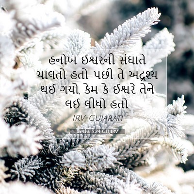 Picture 07 - ઉત્પત્તિ 5:24 GUJIRV - હનોખ ઈશ્વરની - Bible Verse Picture