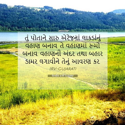 Picture 07 - ઉત્પત્તિ 6:14 GUJIRV - તું પોતાને સારુ - Bible Verse Picture