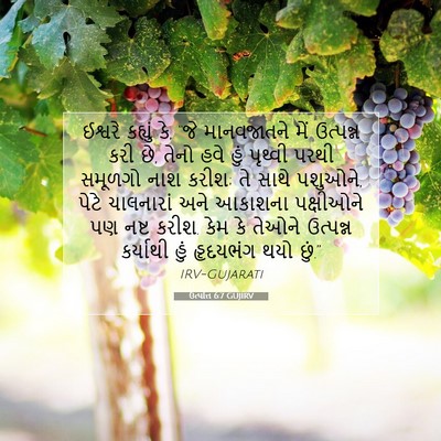 Picture 07 - ઉત્પત્તિ 6:7 GUJIRV - ઈશ્વરે કહ્યું કે, - Bible Verse Picture