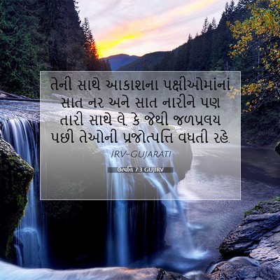 Picture 07 - ઉત્પત્તિ 7:3 GUJIRV - તેની સાથે આકાશના - Bible Verse Picture