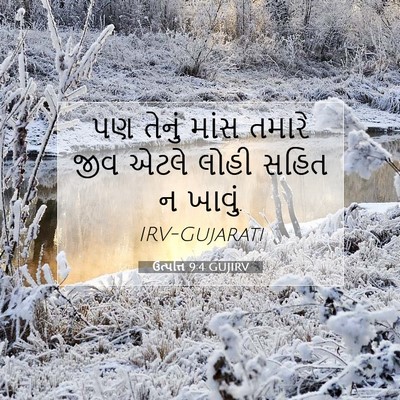 Picture 07 - ઉત્પત્તિ 9:4 GUJIRV - પણ તેનું માંસ - Bible Verse Picture