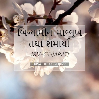 Picture 07 - એઝરા 10:32 GUJIRV - બિન્યામીન, - Bible Verse Picture