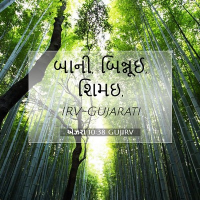 Picture 07 - એઝરા 10:38 GUJIRV - બાની, બિન્નૂઈ, - Bible Verse Picture