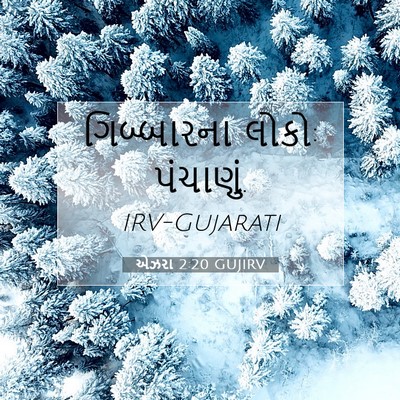 Picture 07 - એઝરા 2:20 GUJIRV - ગિબ્બારના લોકો: - Bible Verse Picture